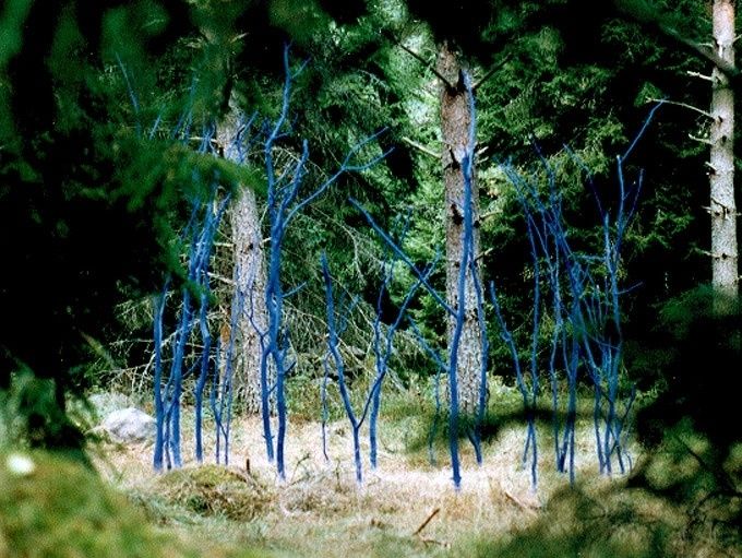 Möjligeternas Boning projekt på Öland 1999-2000, målat trä